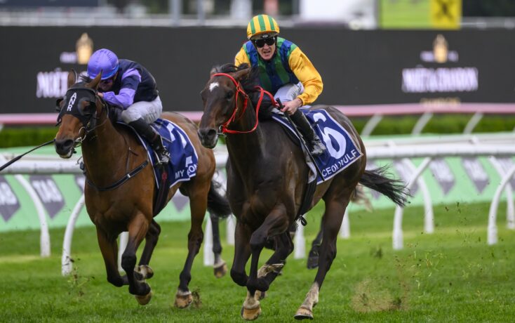 占据了主动 占据了主动