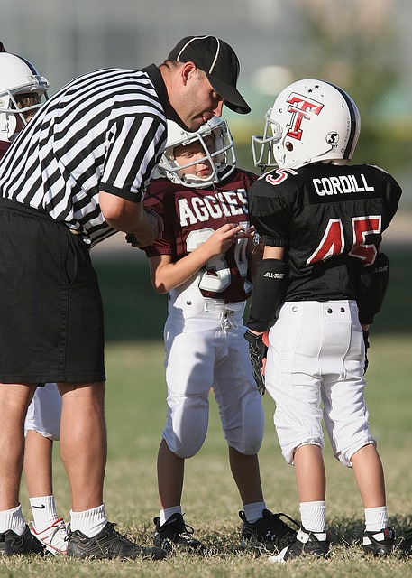 限制塞鸟的 限制塞鸟的