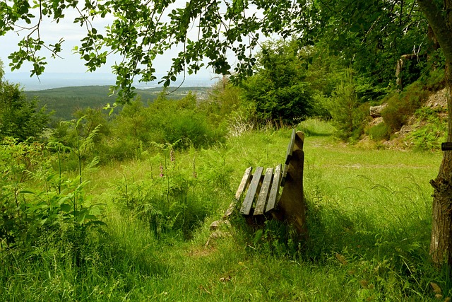 示实力的绝 示实力的绝